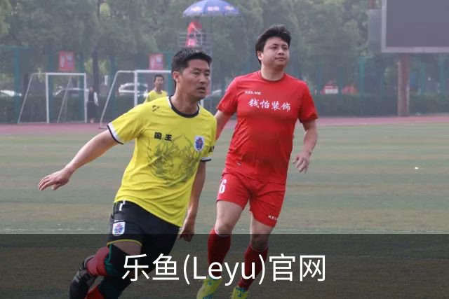 乐鱼(Leyu)官网公司简介